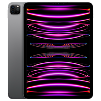 iPad Pro 11" (2022) WiFi + 5G